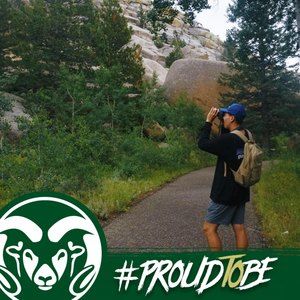 Meet your Posher, Ashurbanipal